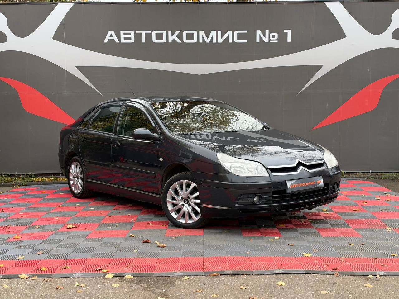  C5