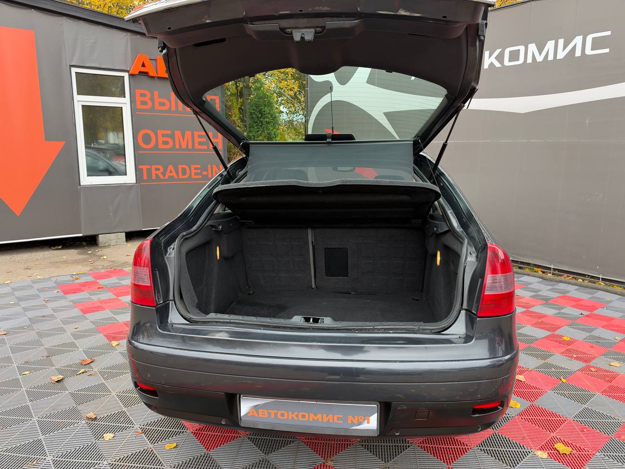  C5